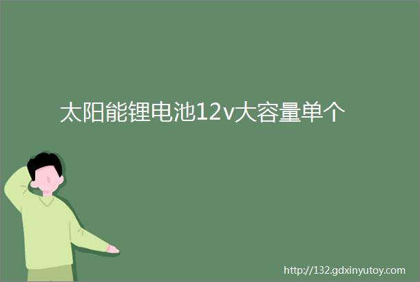 太阳能锂电池12v大容量单个